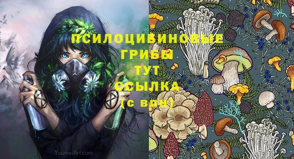 MDMA Медвежьегорск