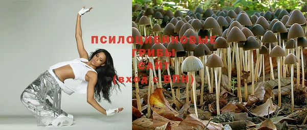 спайс Мегион