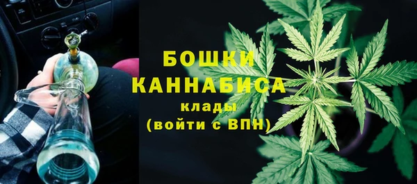 стафф Медногорск