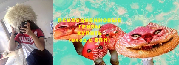 Альфа ПВП Магадан