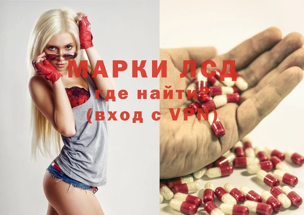 стафф Медногорск
