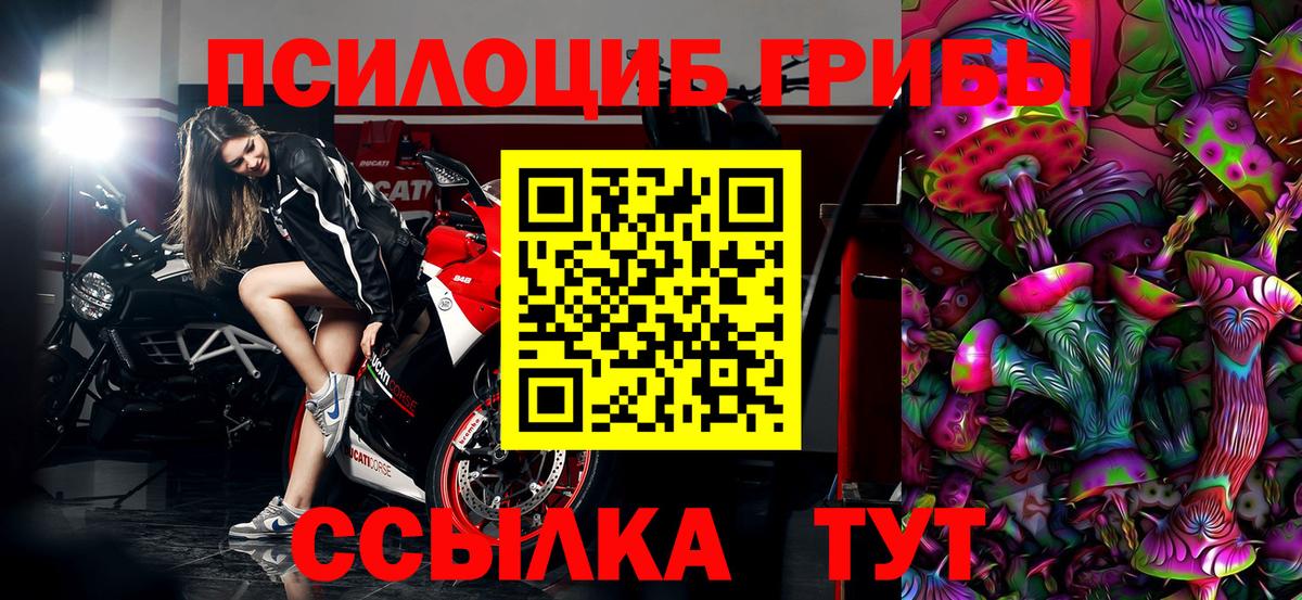 Галлюциногенные грибы Cubensis  Псилоцибиновые грибы Cubensis  Вход с VPN  Краснознаменск 