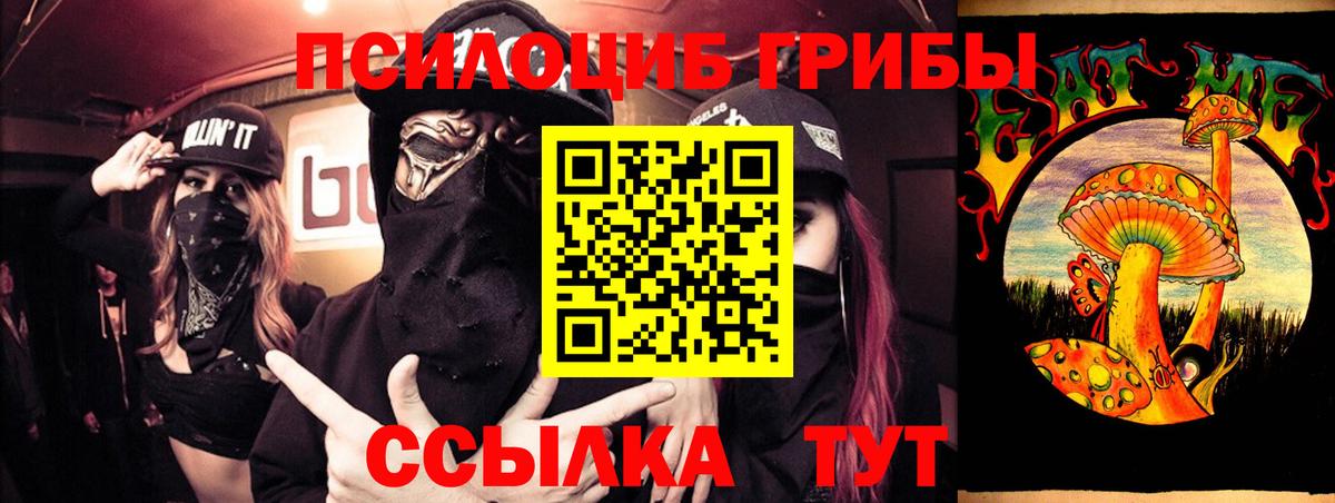 Галлюциногенные грибы Psilocybe  Краснознаменск 