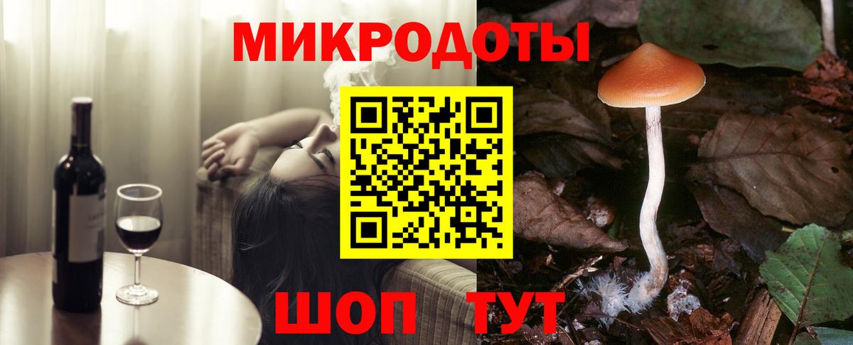 Псилоцибиновые грибы мицелий Краснознаменск